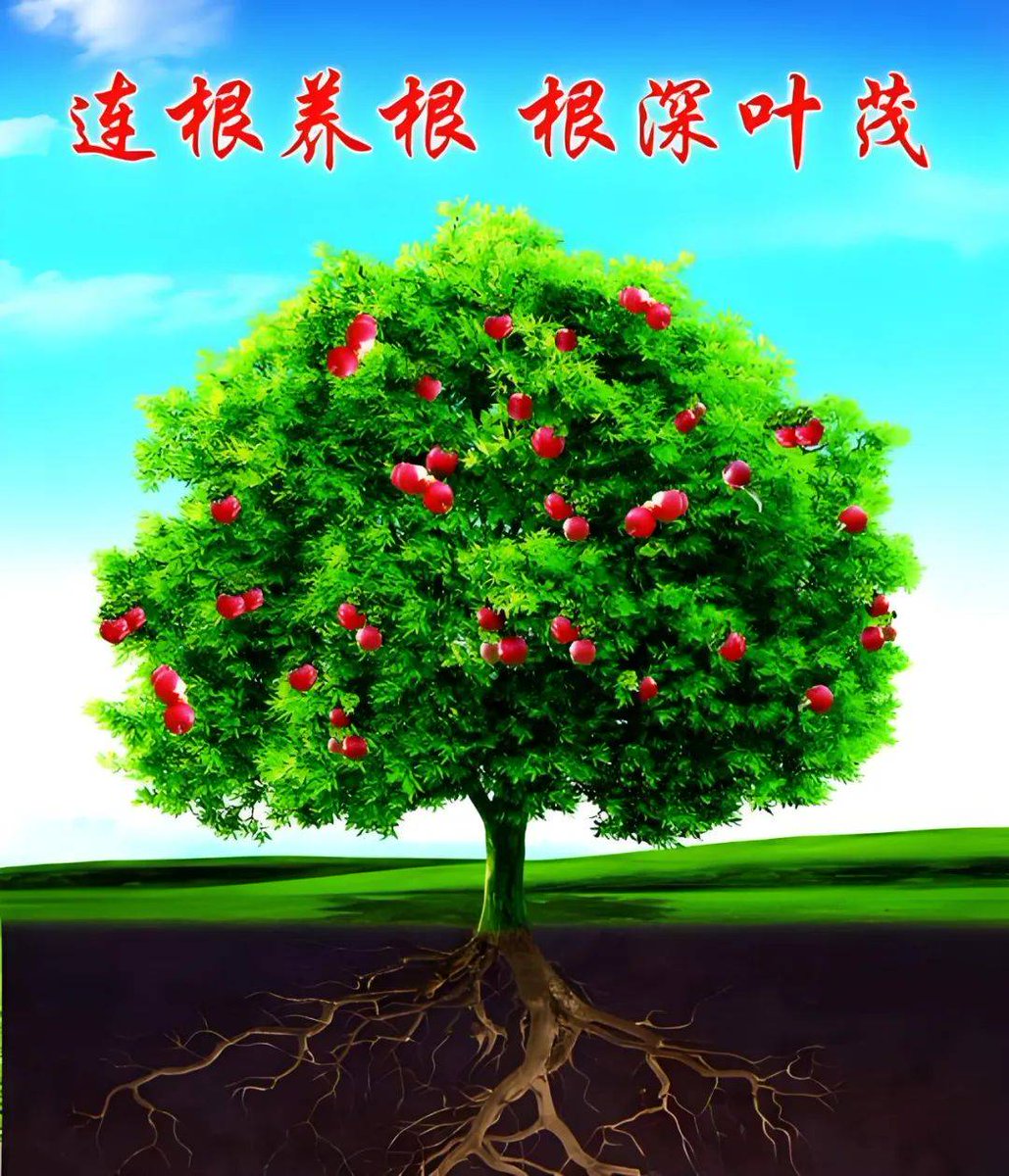 Андрей Белокуров tweet media