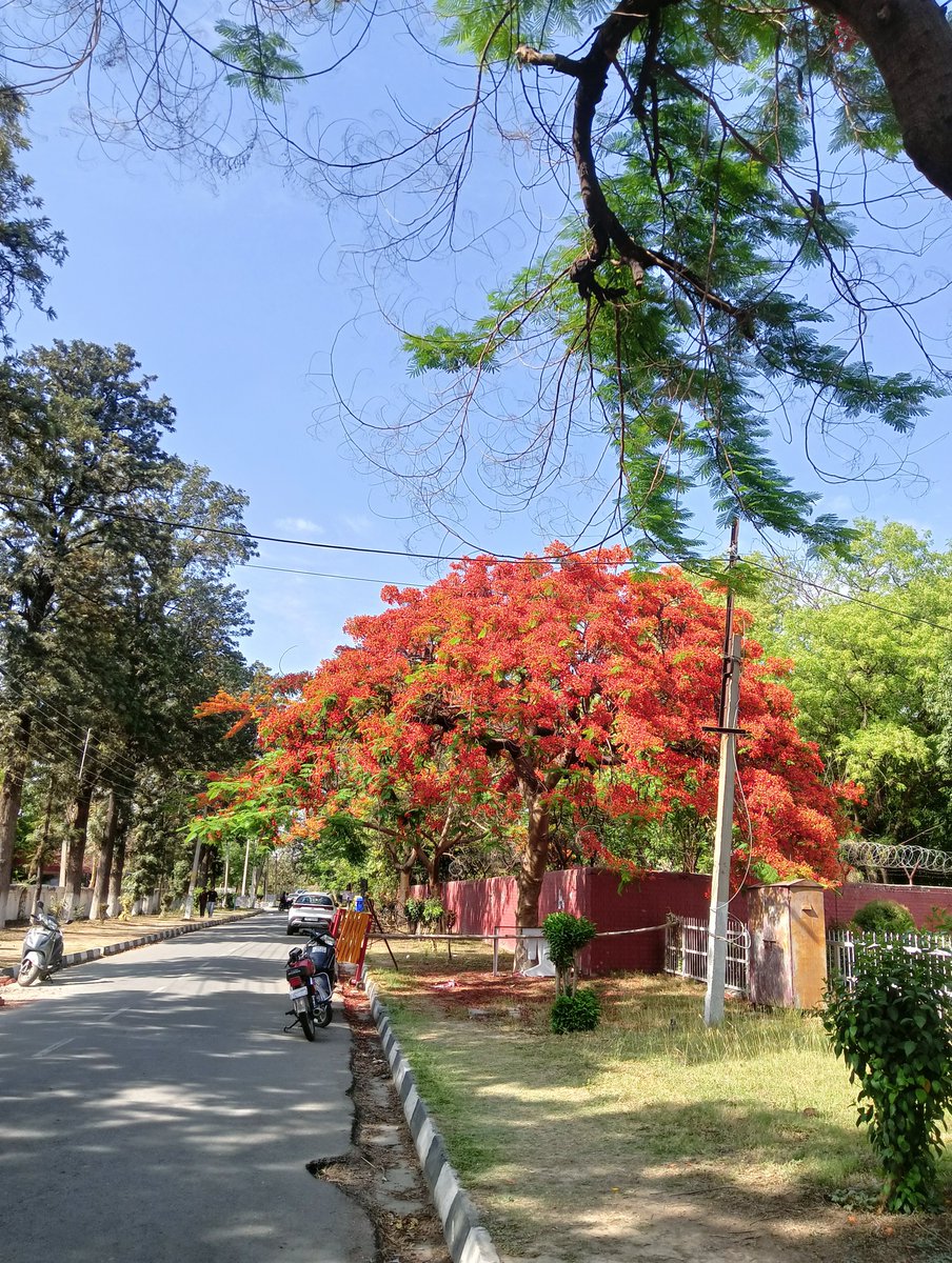 I was going to post first pic saying - "A Lil pleasant weather in this hottest summer" 🥰
But just after I clicked Sun was like - hey dude ! I just went for a drinks break..😏

🥲🥲