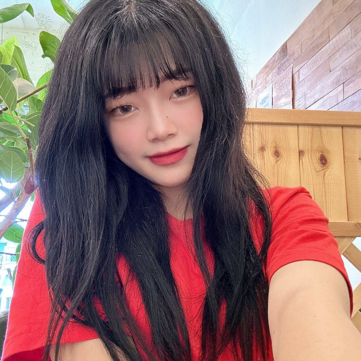 한자림 tweet media