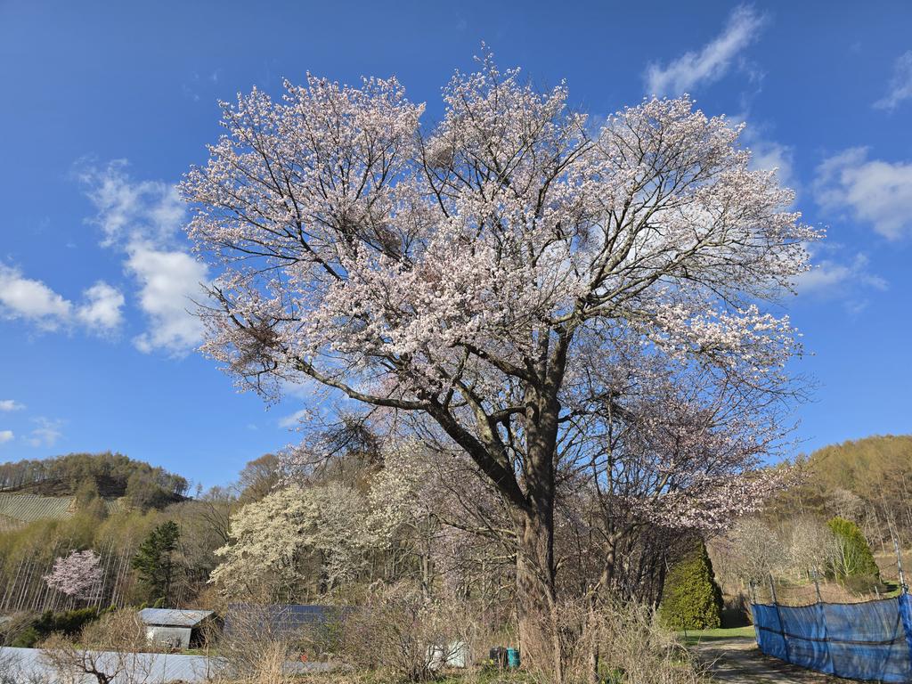ハスカップファーム山口農園 tweet media