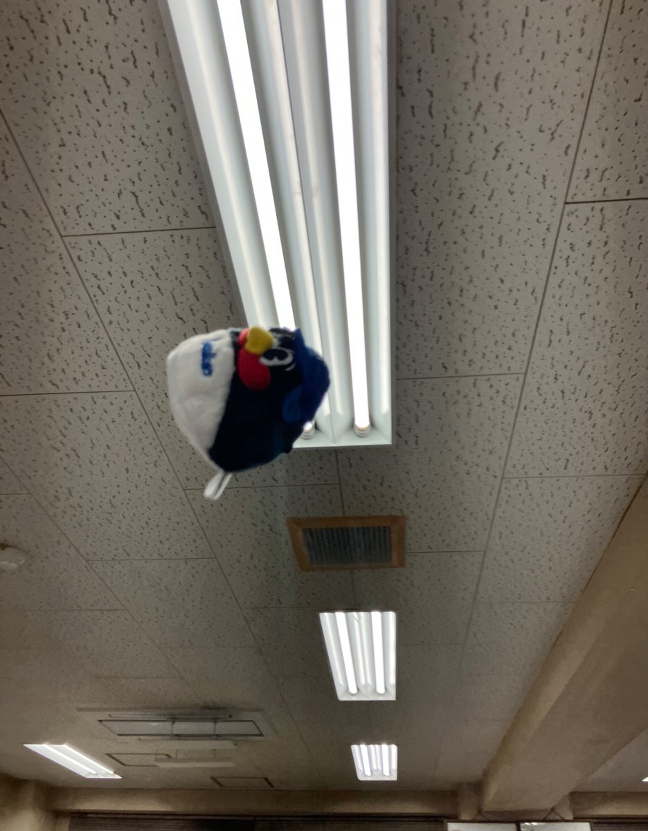 ながくら＠せかちゅG13a tweet media