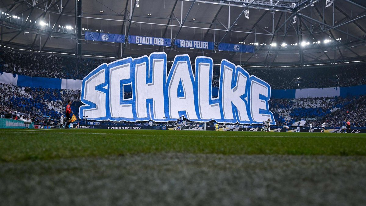 SchalkeZone tweet media