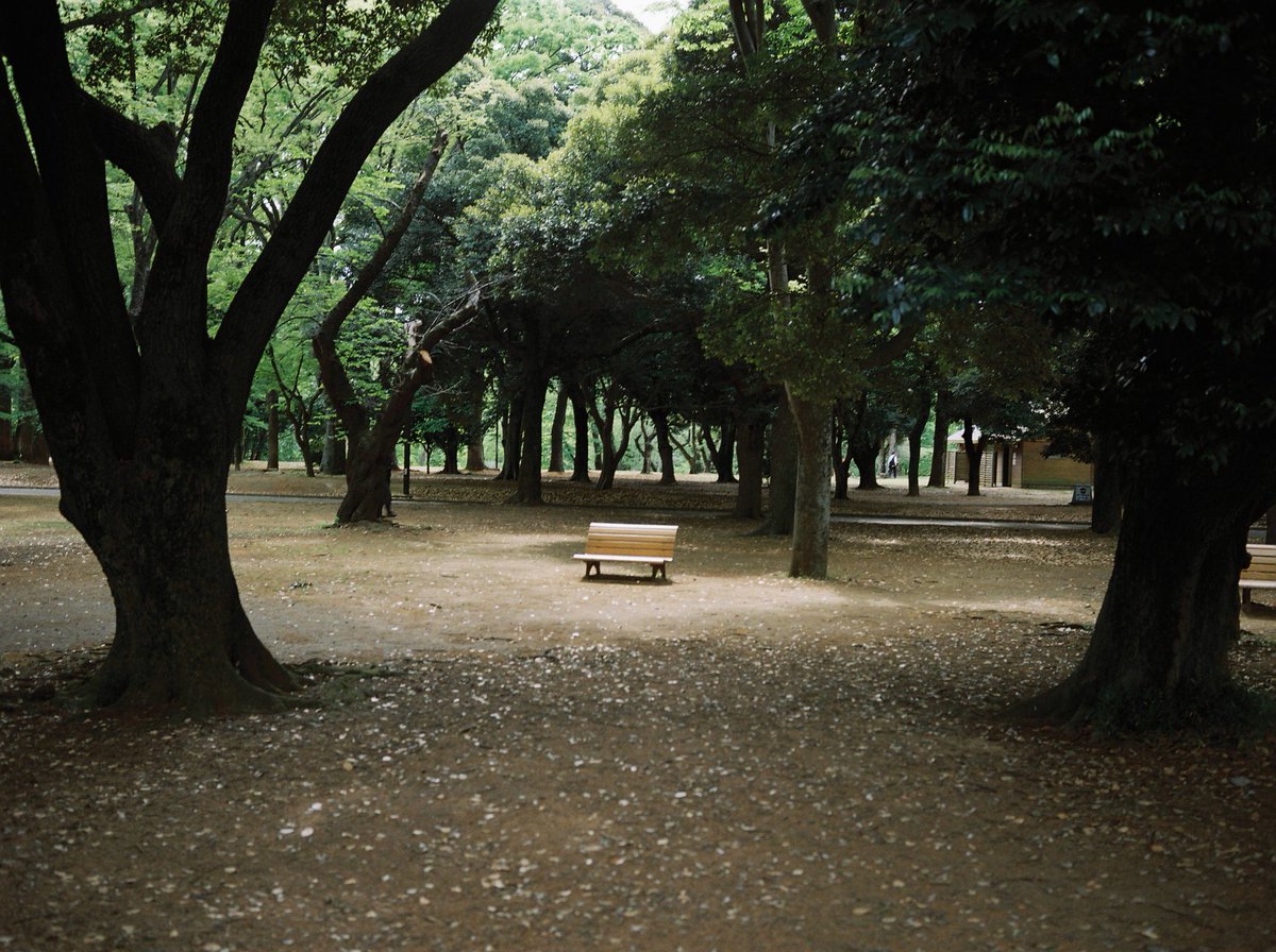 takaomikim's tweet photo. KODAK FILM PORTRAIT https://t.co/aI0eZCmgVw