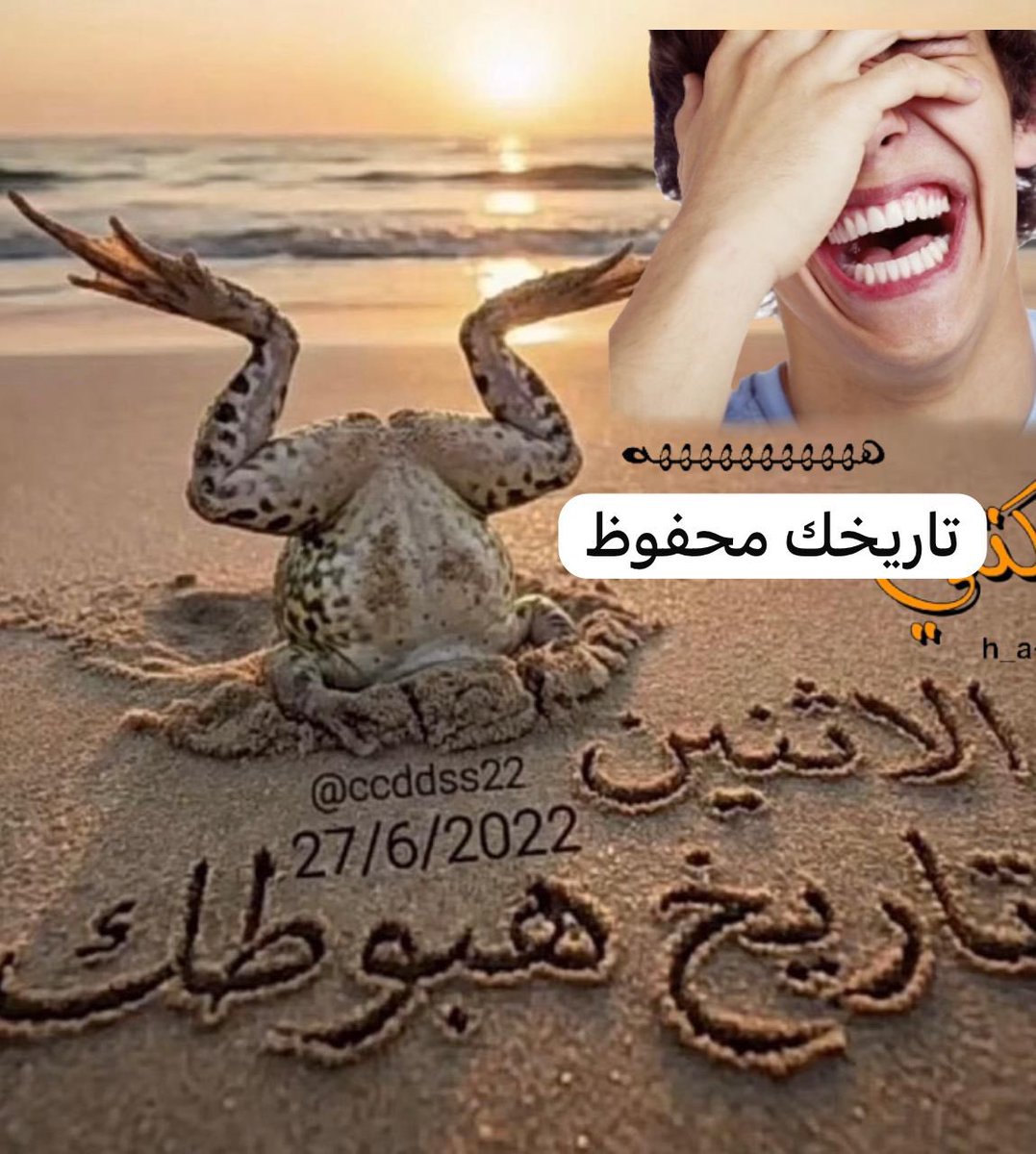 منصور الحربي tweet media