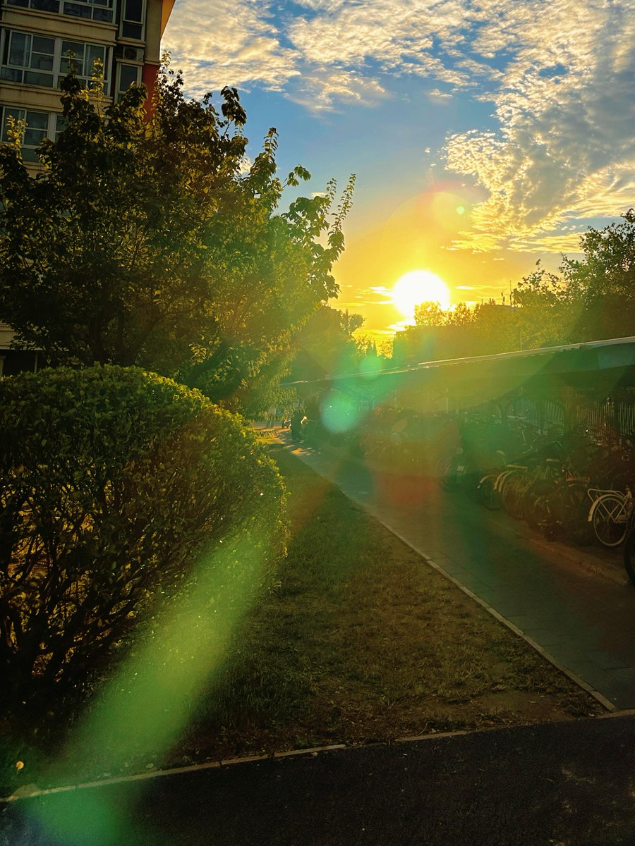 Jade Seibert tweet media