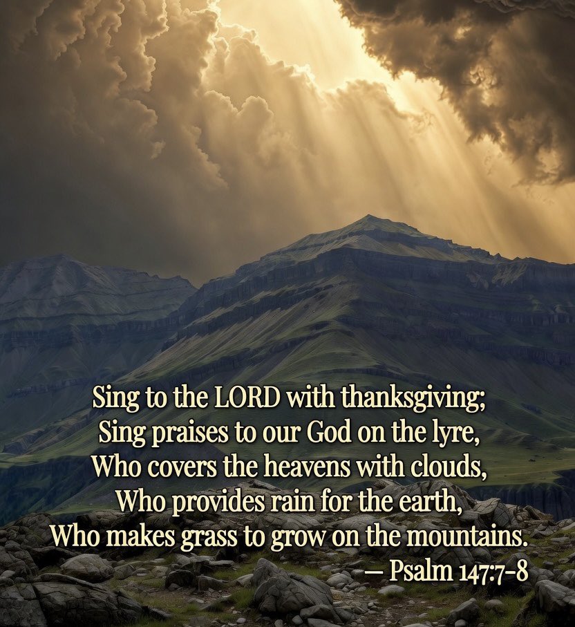 3CRanchJC's tweet photo. We have needed rain, badly. Praise God for what He has given us overnight. https://t.co/0fYInLLPOg