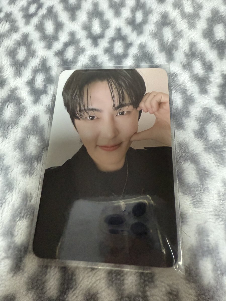 랑이 tweet media