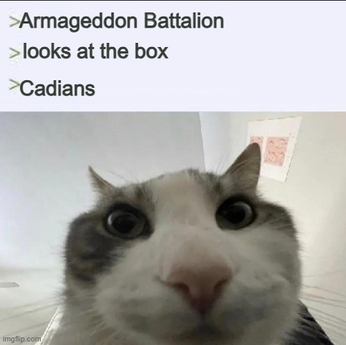 WhitEWhiteMem tweet media