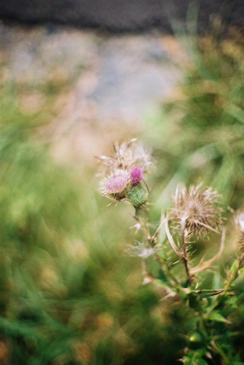 𝕂𝚊𝚝𝚑𝚊𝚛𝚒𝚗𝚎.【kˈæθ(ə)rɪn】 tweet media