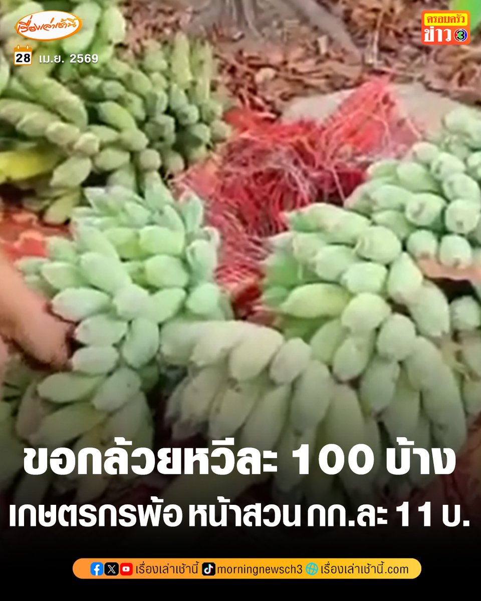 เรื่องเล่าเช้านี้ tweet media