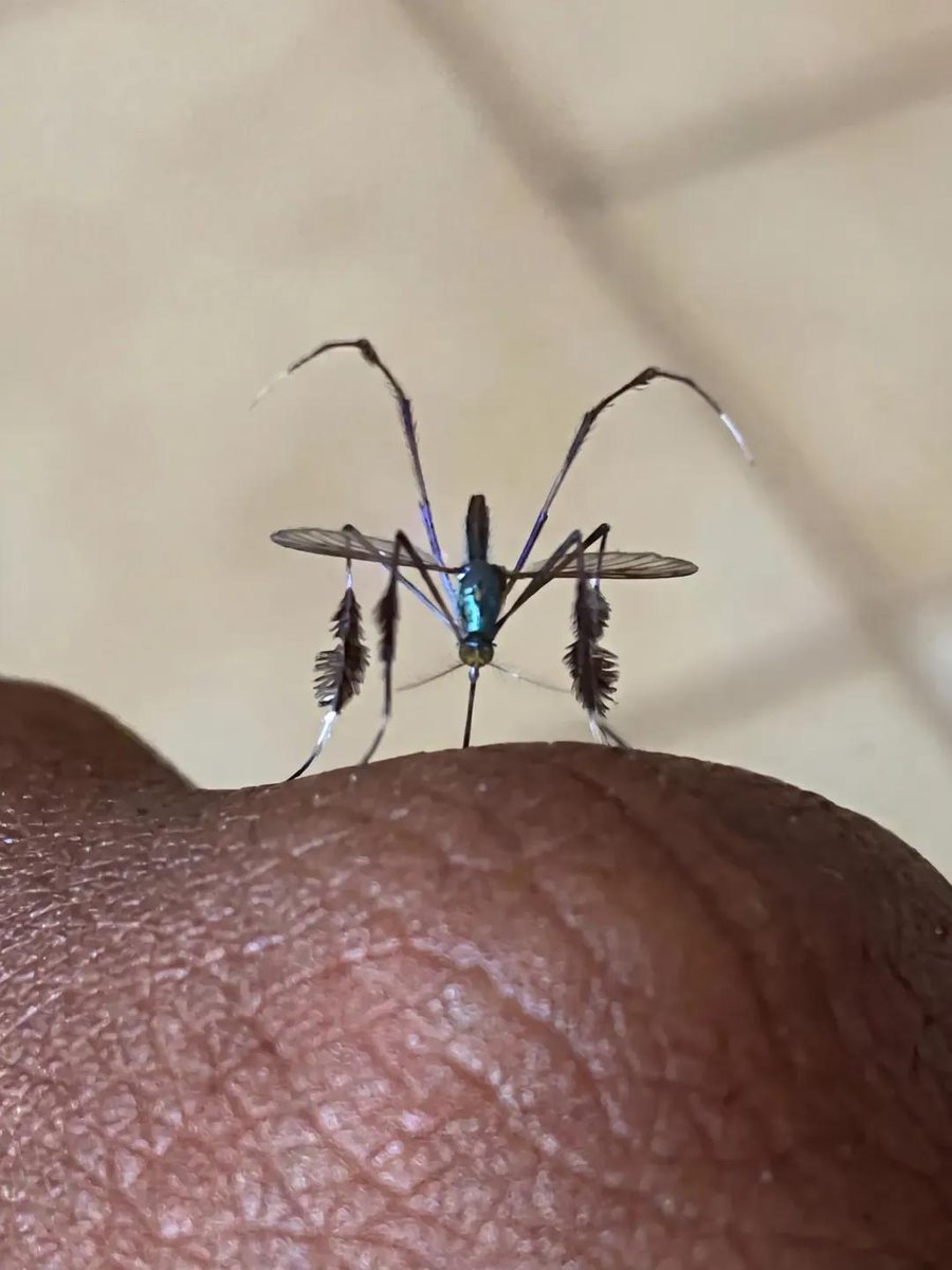 CallMeNonye tweet media