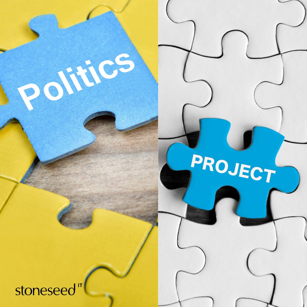 Stoneseed tweet media