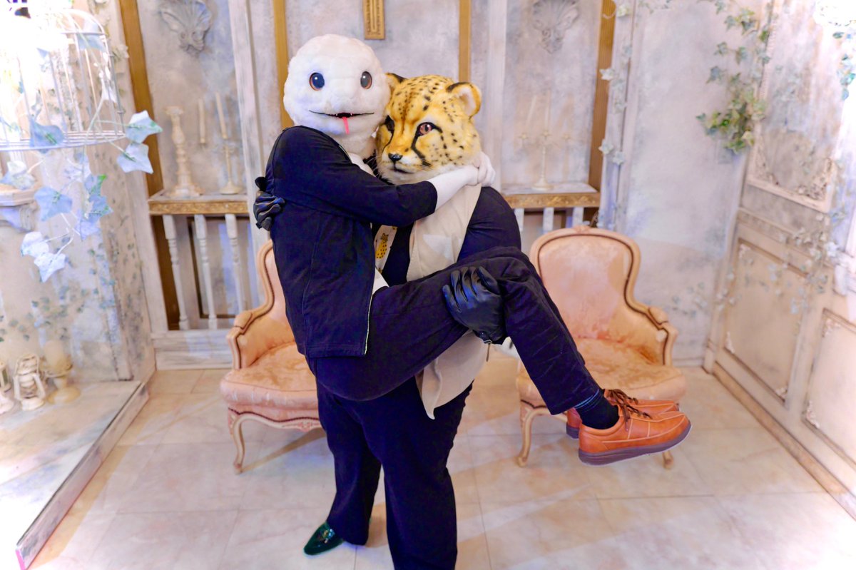 SoW【白ヘビのそ〜くん】🐍 tweet media