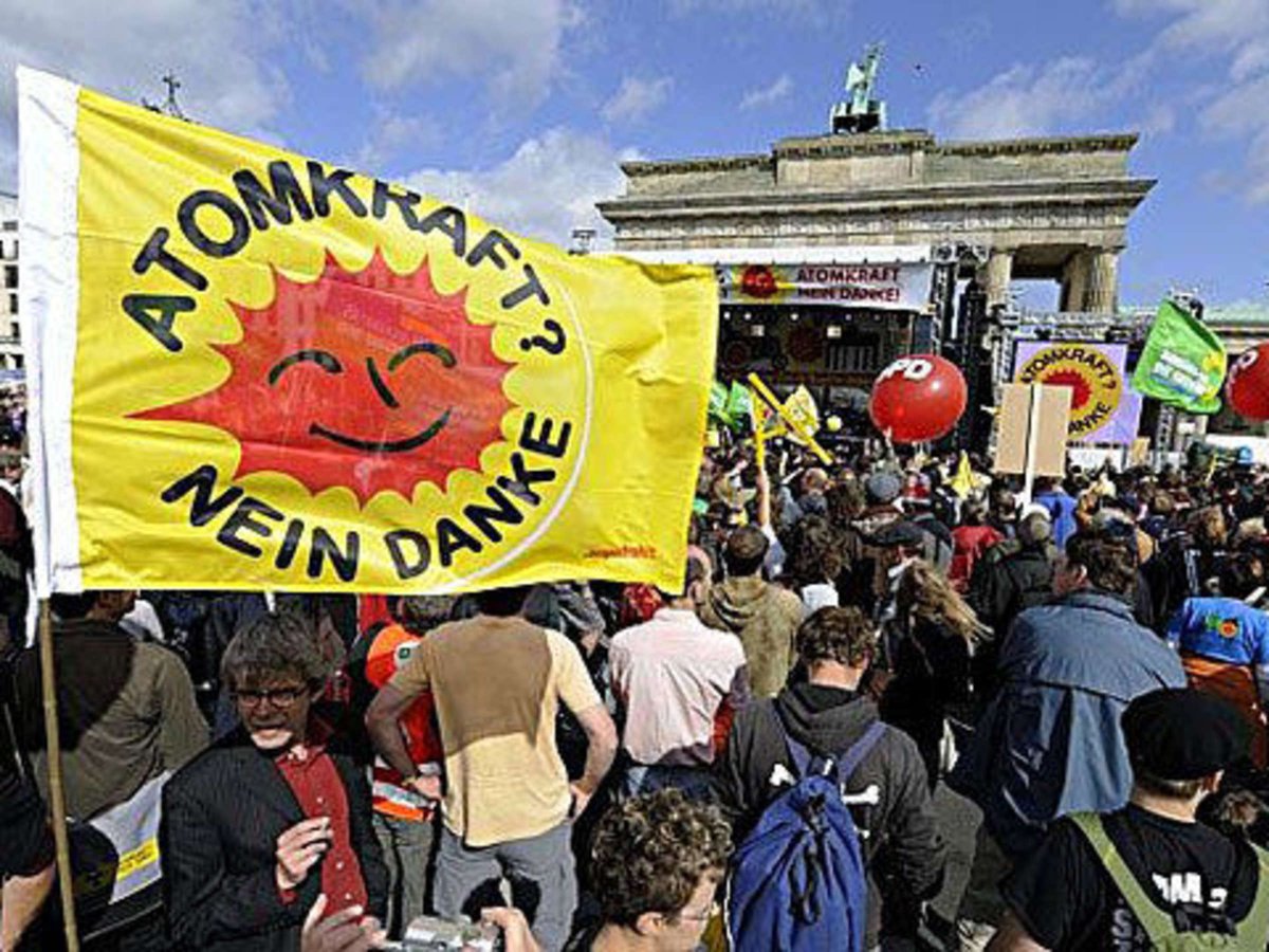 Frankito, o Curioso® tweet media