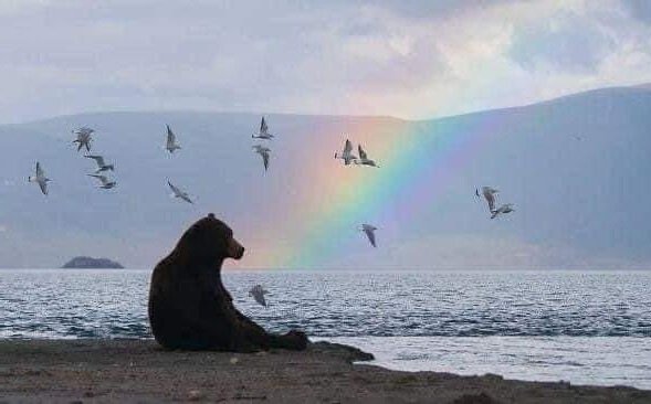 Nature is Amazing ☘️ tweet media