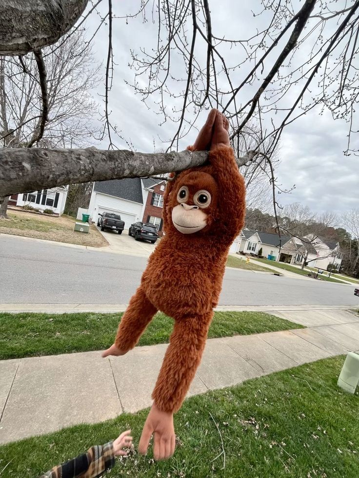 TIMETABLE ⁉️ tweet media