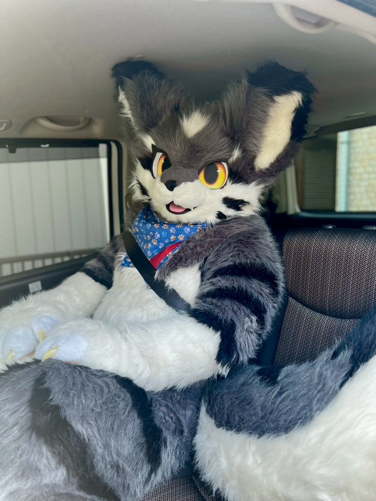 バル@三桁狼『ミダン』→UTFG🇹🇼 tweet media