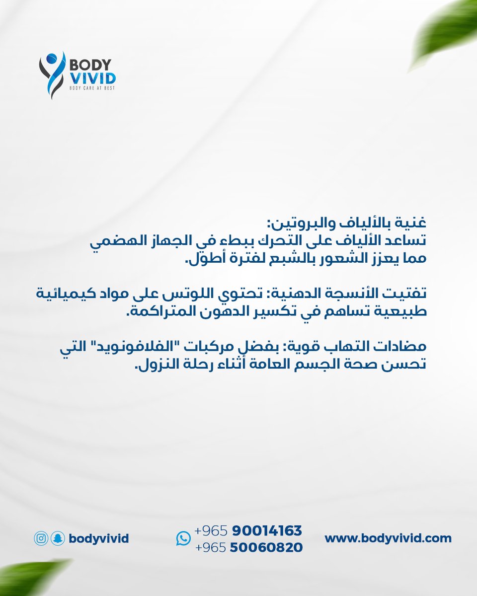 BodyVivid's tweet photo. أوراق اللوتس.. السر الطبيعي للقوام الممشوق https://t.co/fEfyGIHvDs