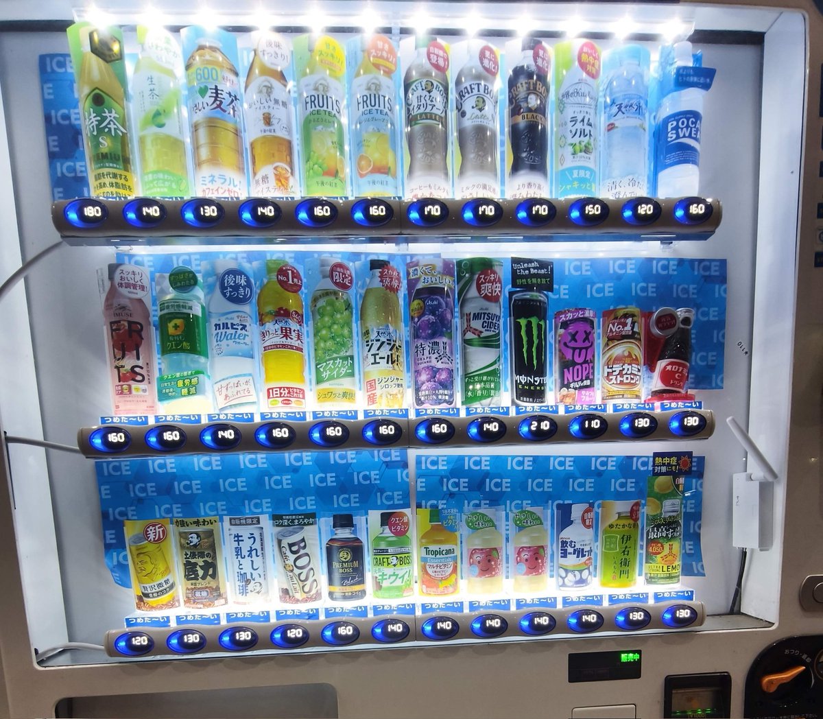 こぐま🧸🪽🍻(🦾🧸✌)powered by 預金機 tweet media