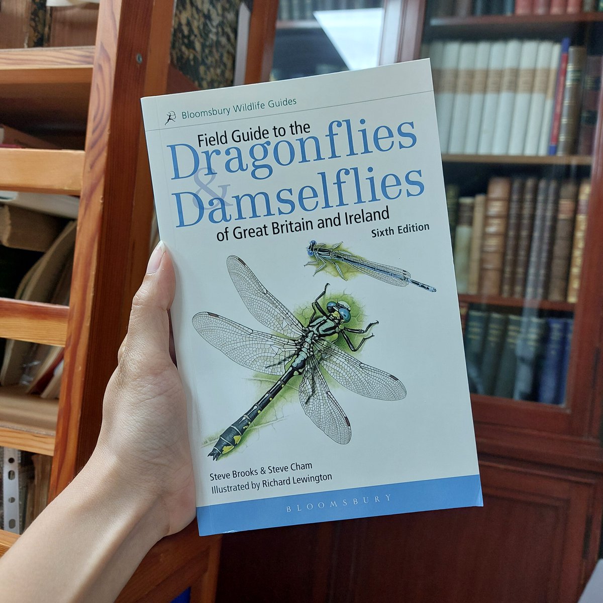 PemberleyBooks's tweet image. 🌾Just arrived! A new edition of Field Guide to the #Dragonflies &amp;amp; #Damselflies of Great Britain and Ireland by Steve Brooks and Steve Cham. With great #illustrations by Richard Lewington.
Available HB and PB!
tinyurl.com/dragondamselfl…

#Odonata #Entomology #BloomsburyPublishing
