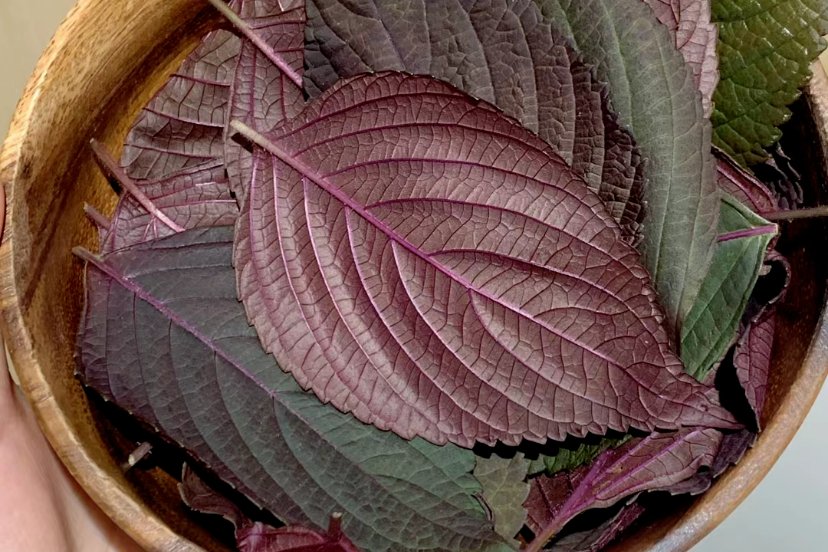 sean jones tweet media