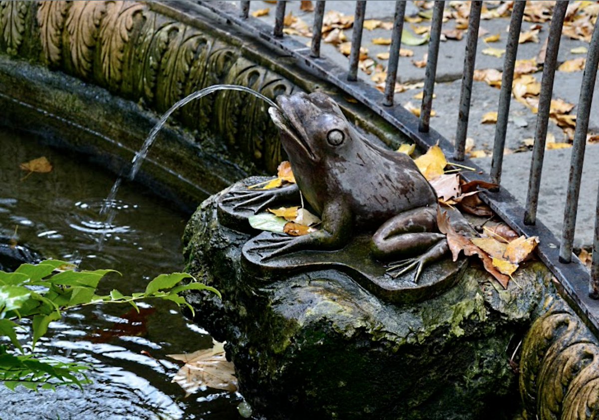 crystal_ibis's tweet photo. The frog, as a spirit animal, carries a profound message of transformation. Frogs undergo one of the most dramatic metamorphoses in nature, evolving from tadpoles into fully-formed adults capable of living both in water and on land. https://t.co/k2Ivk8kcYo