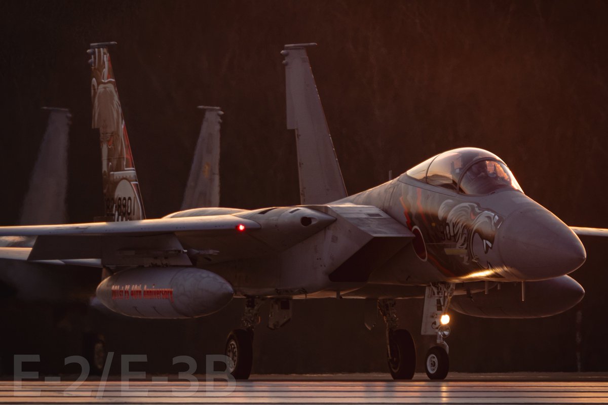 e2e3e2e3's tweet image. 第201飛行隊　ナイト訓練
F-15J（82-8901）40周年記念機
#千歳基地