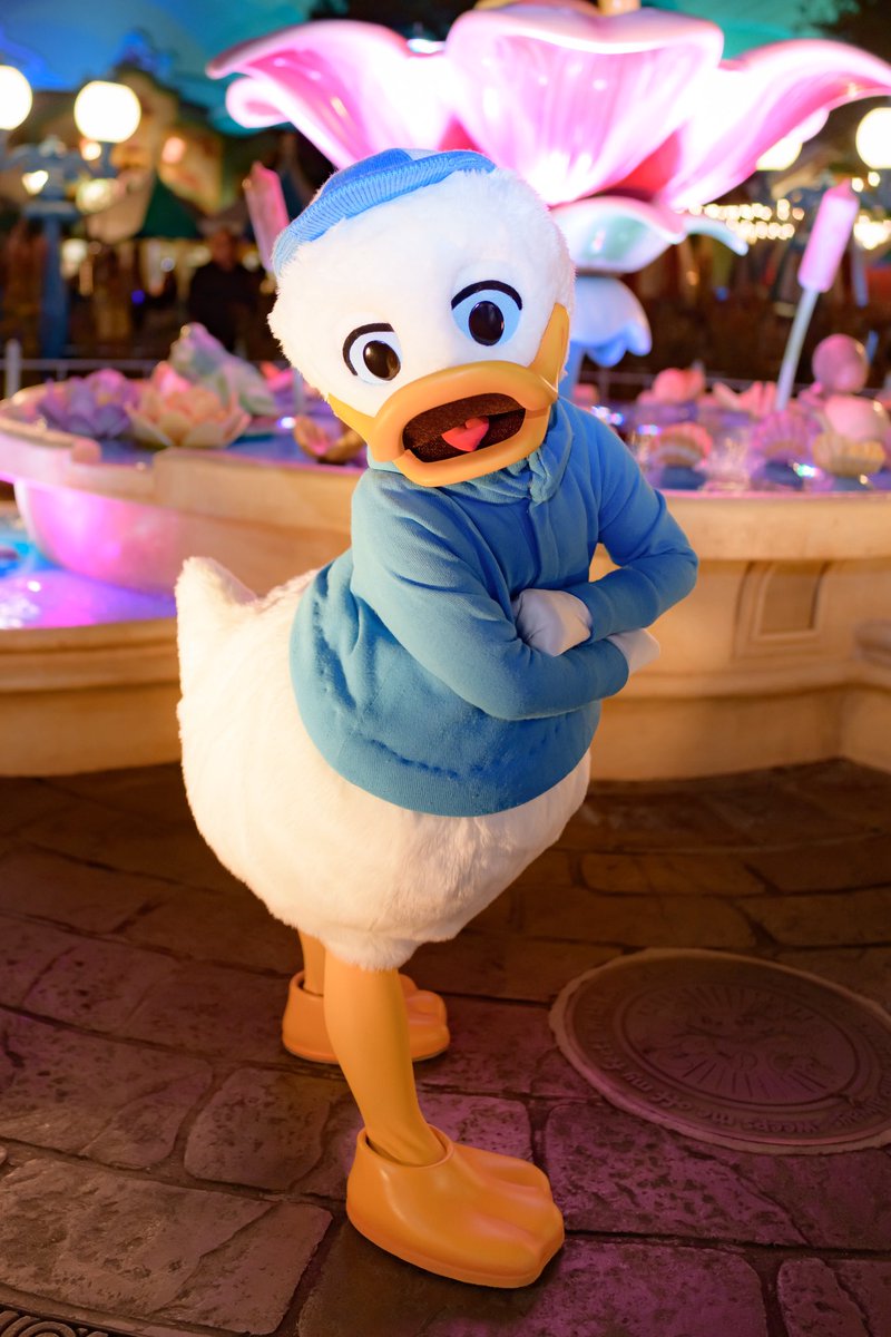 ੈ のむ* tweet media