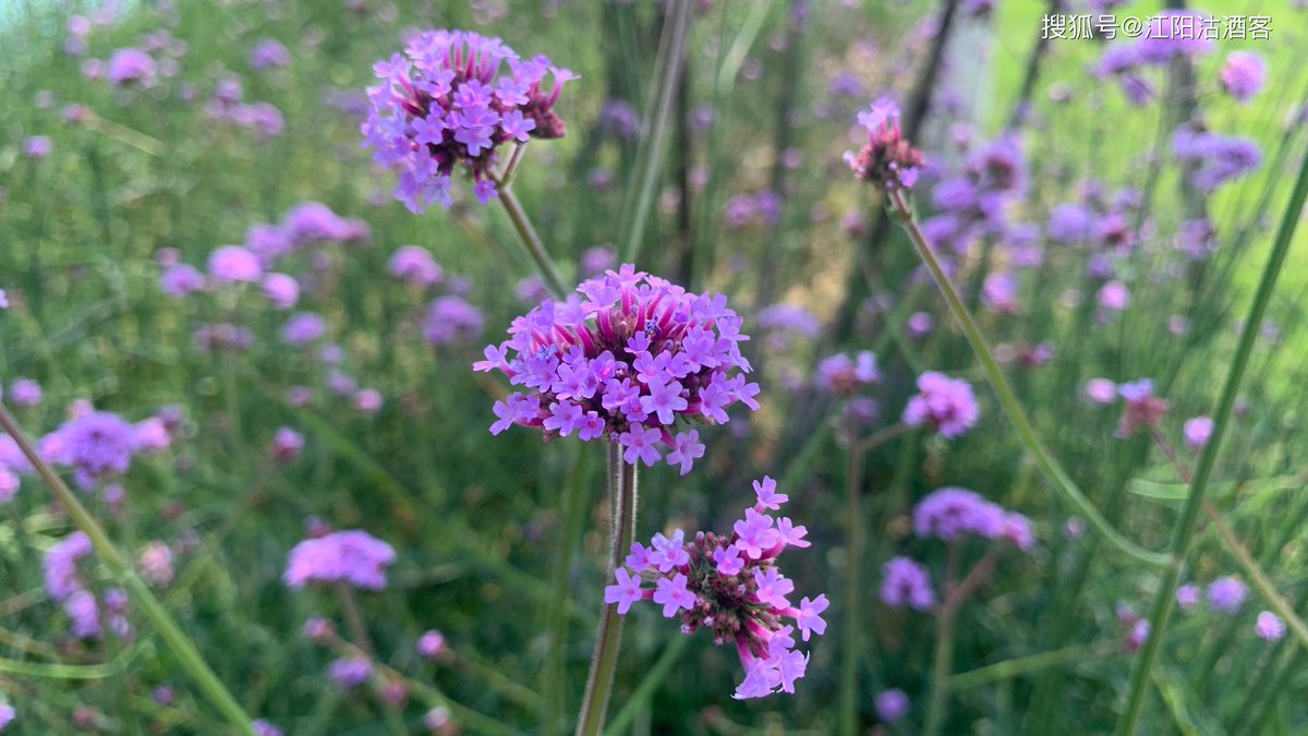 Rebecca Dickson tweet media