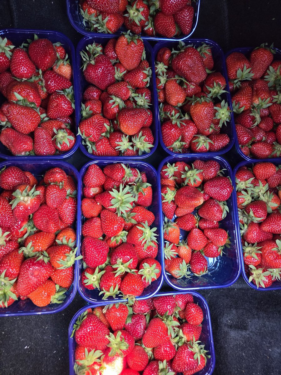 AndabakIvan's tweet photo. Support your local farmer #vrgorac https://t.co/vUskvkRhpT