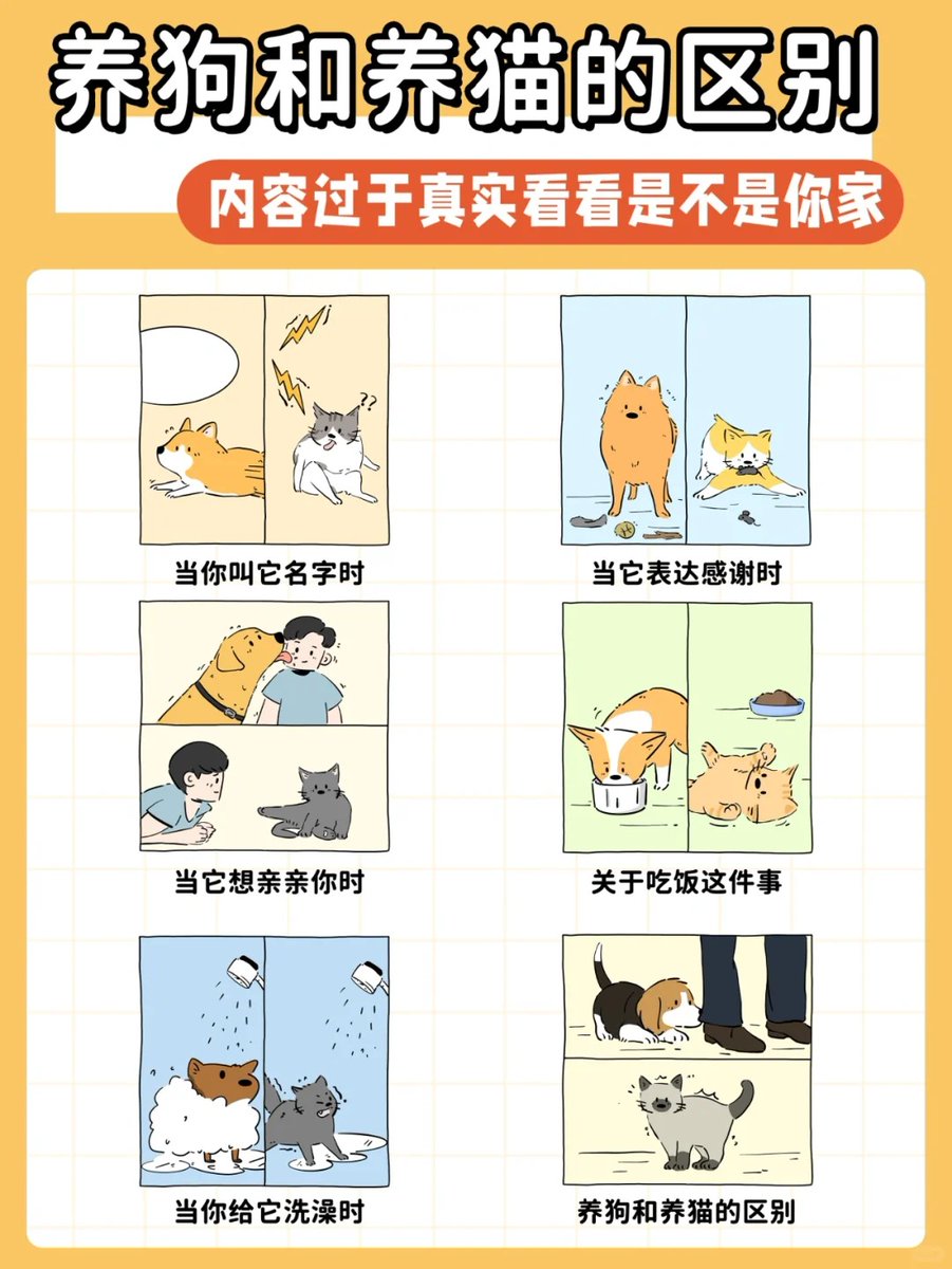 mikkey.navarro tweet media