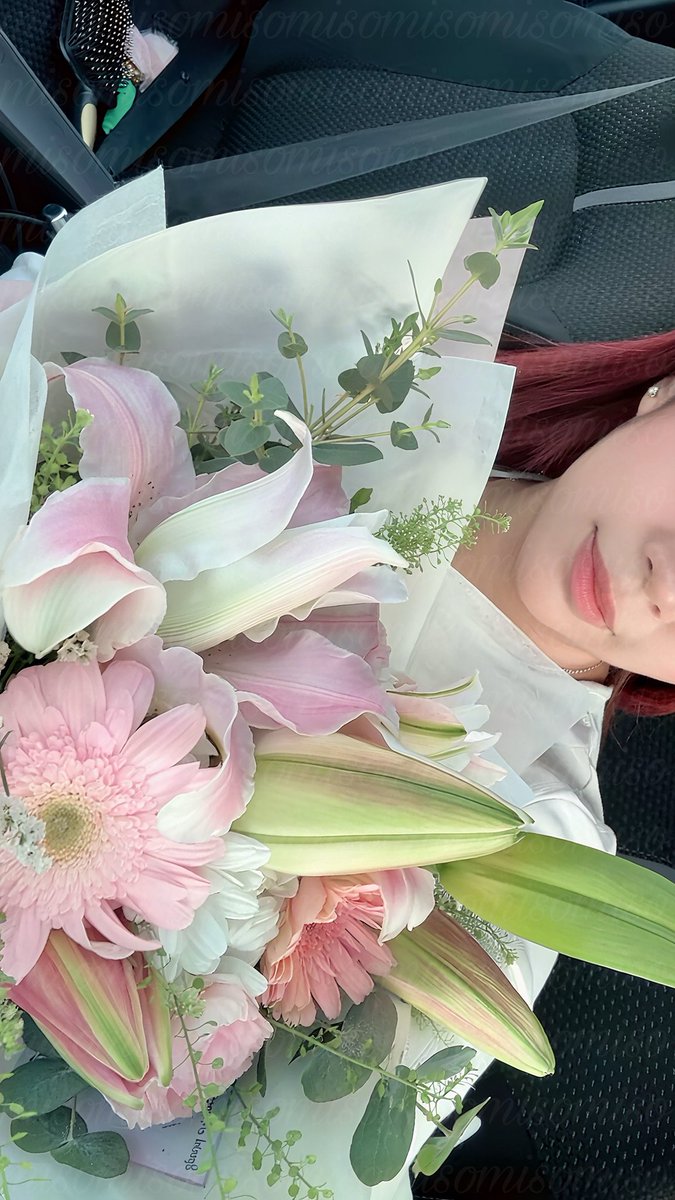 miso ‎ꫂ᭪݁ tweet media