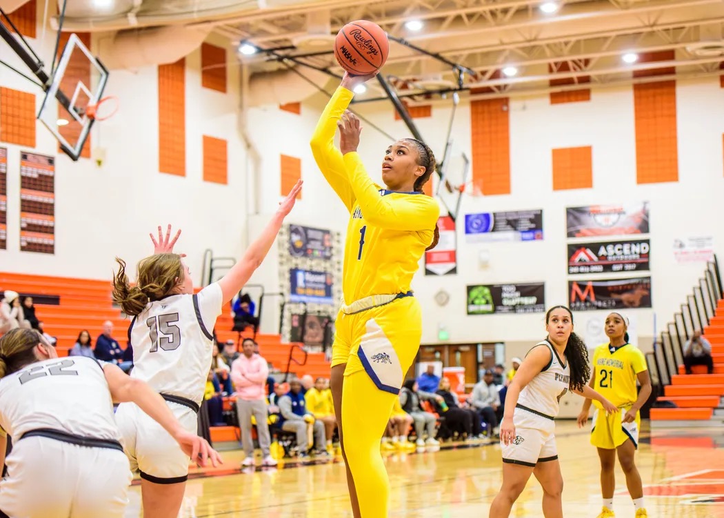 Akron Zips Women’s Basketball tweet media