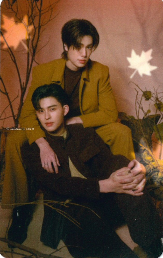 เลโอ🌻 tweet media