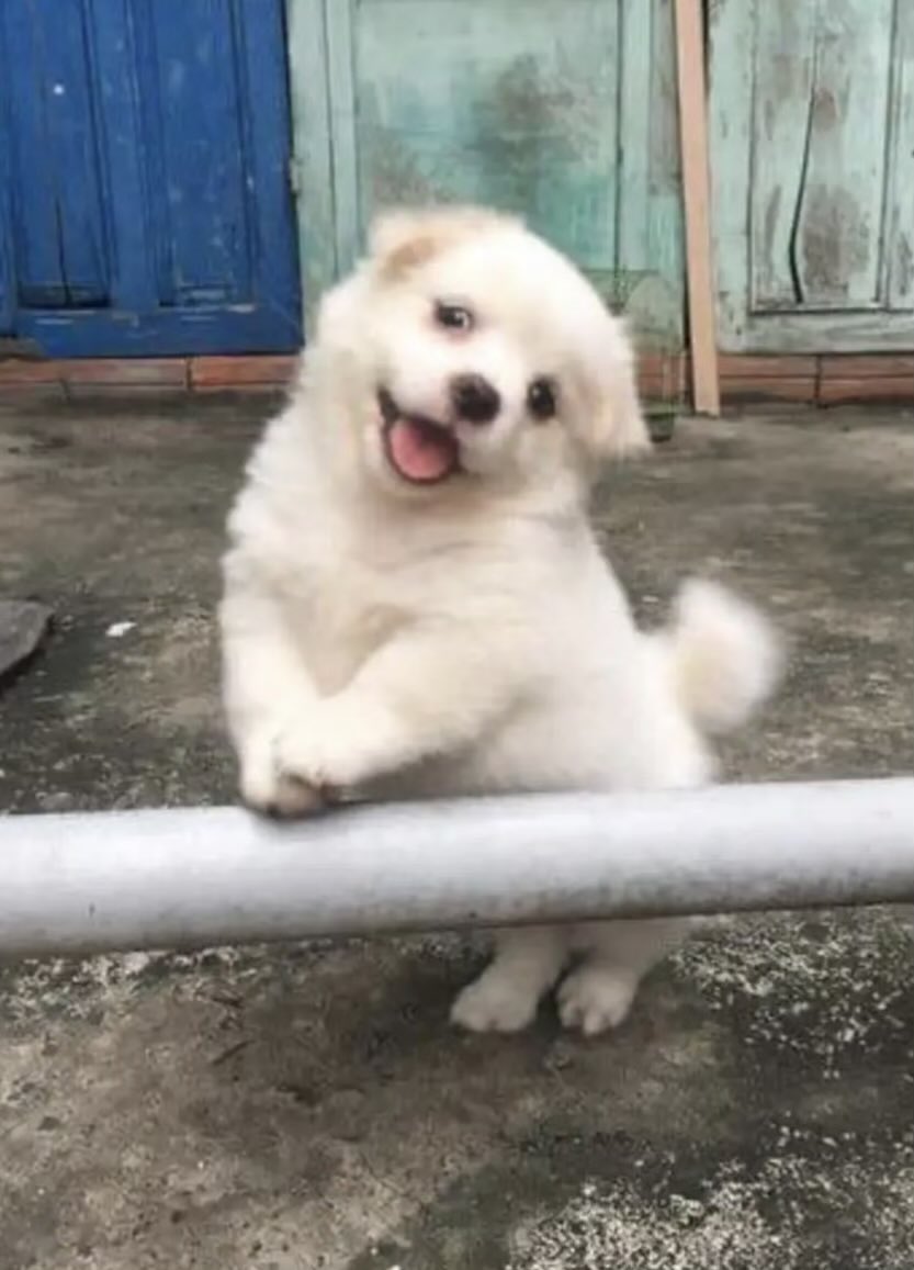 このてー欲しすぎてやばいｗｗｗｗ💗💗💗