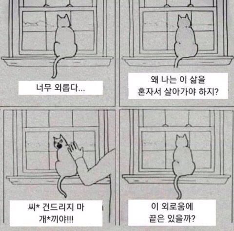 도피 tweet media
