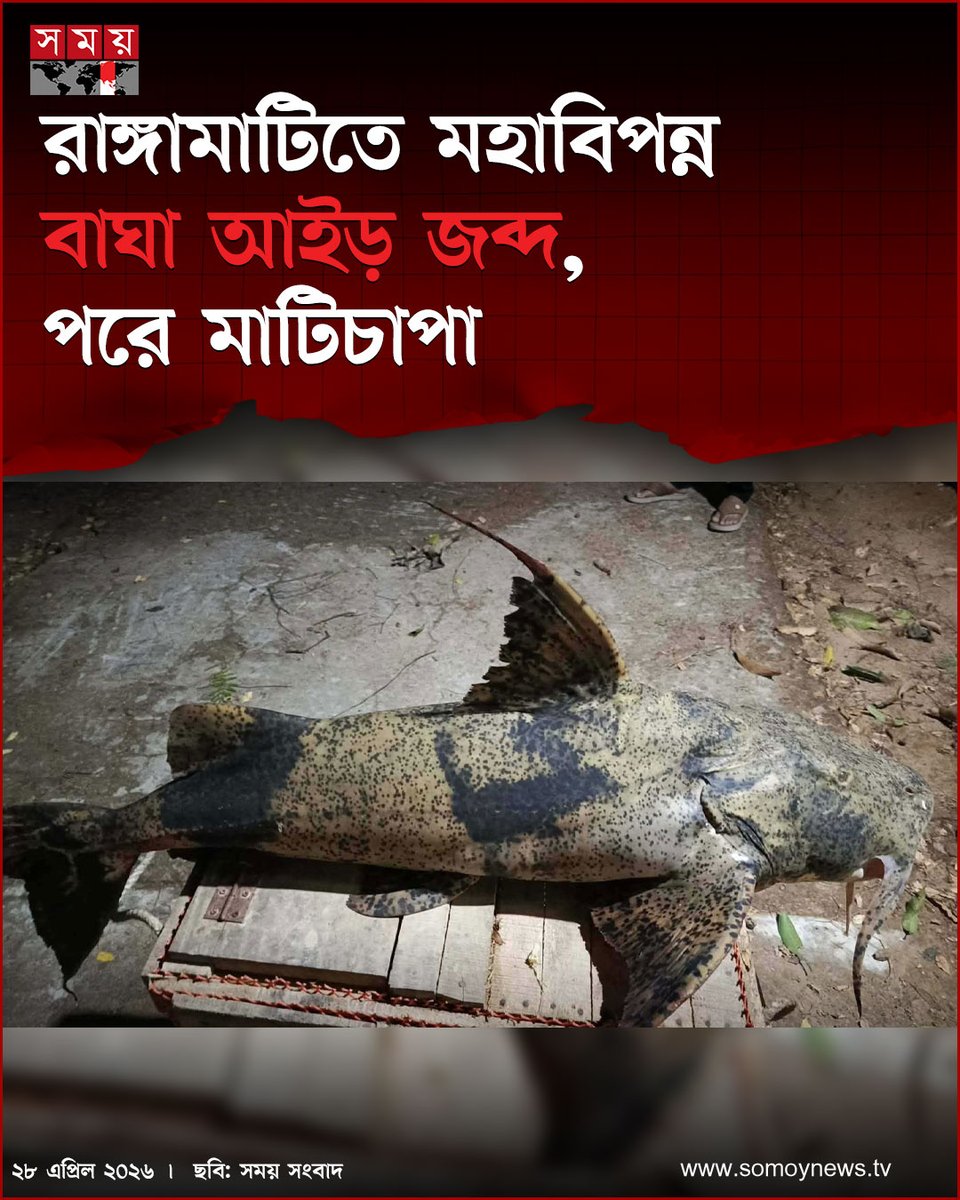 somoytv's tweet image. রাঙ্গামাটি কাপ্তাইয়ে মহাবিপন্ন তালিকাভুক্ত বাঘা আইড় জব্দ করেছে বন বিভাগ

বিস্তারিত : somoynews.tv/news/2026-04-2…

#national #news #somoytv