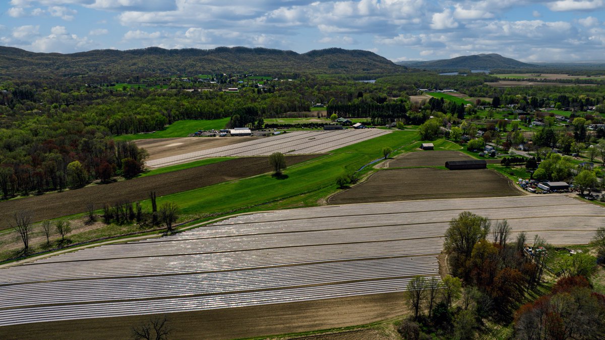 WesternMADrones's tweet image. Working in #hadleyma - looking forward to farm stand season! 🌽
#droneinspection #DronePhotography #DroneServices #farmland #westernmass #westernmassdrones