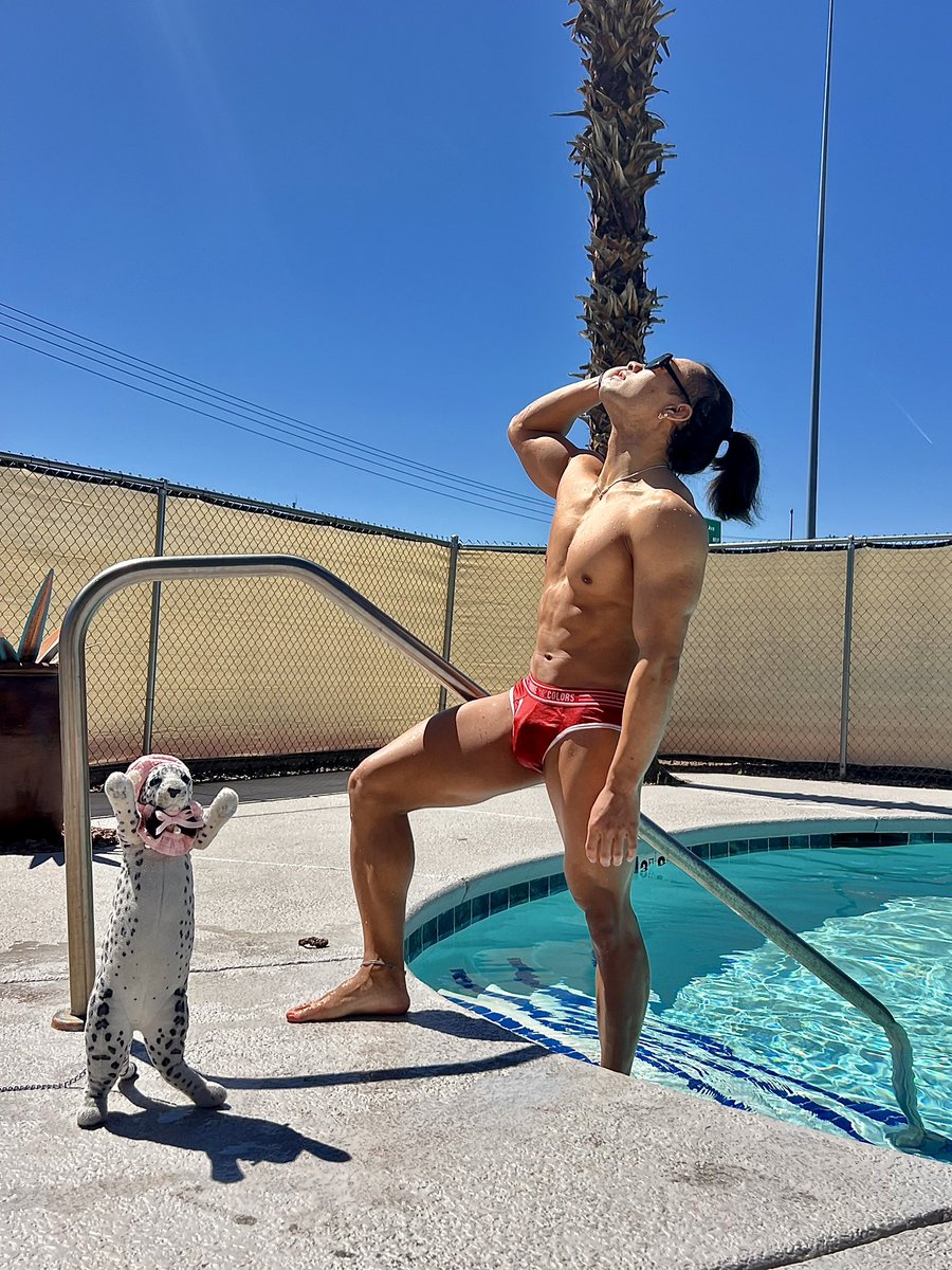 豹🐆HYO tweet media