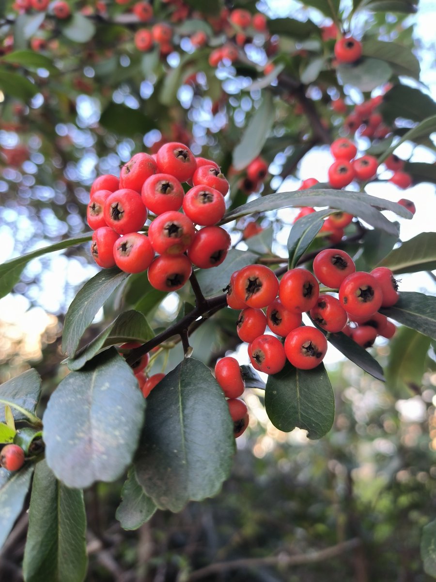 reccien's tweet image. "Neighborly win!  Shared garden veggies + a kid’s lemonade stand = perfect summer vibes. Who’s your favorite neighbor  #NeighborLove #CommunitySpirit"