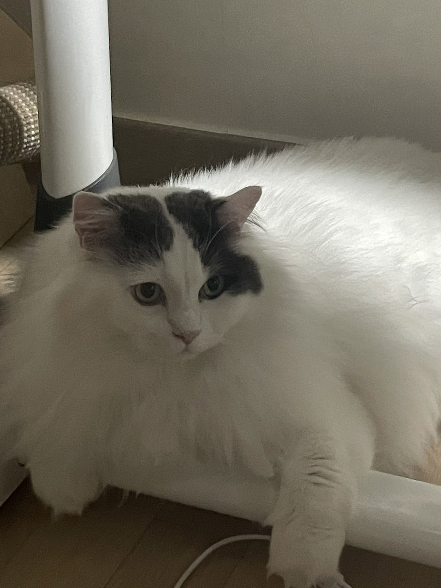 혜정이(멘션너무쓰고싶다나도끼고싶다) tweet media