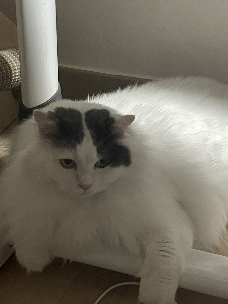 혜정이(멘션너무쓰고싶다나도끼고싶다) tweet media