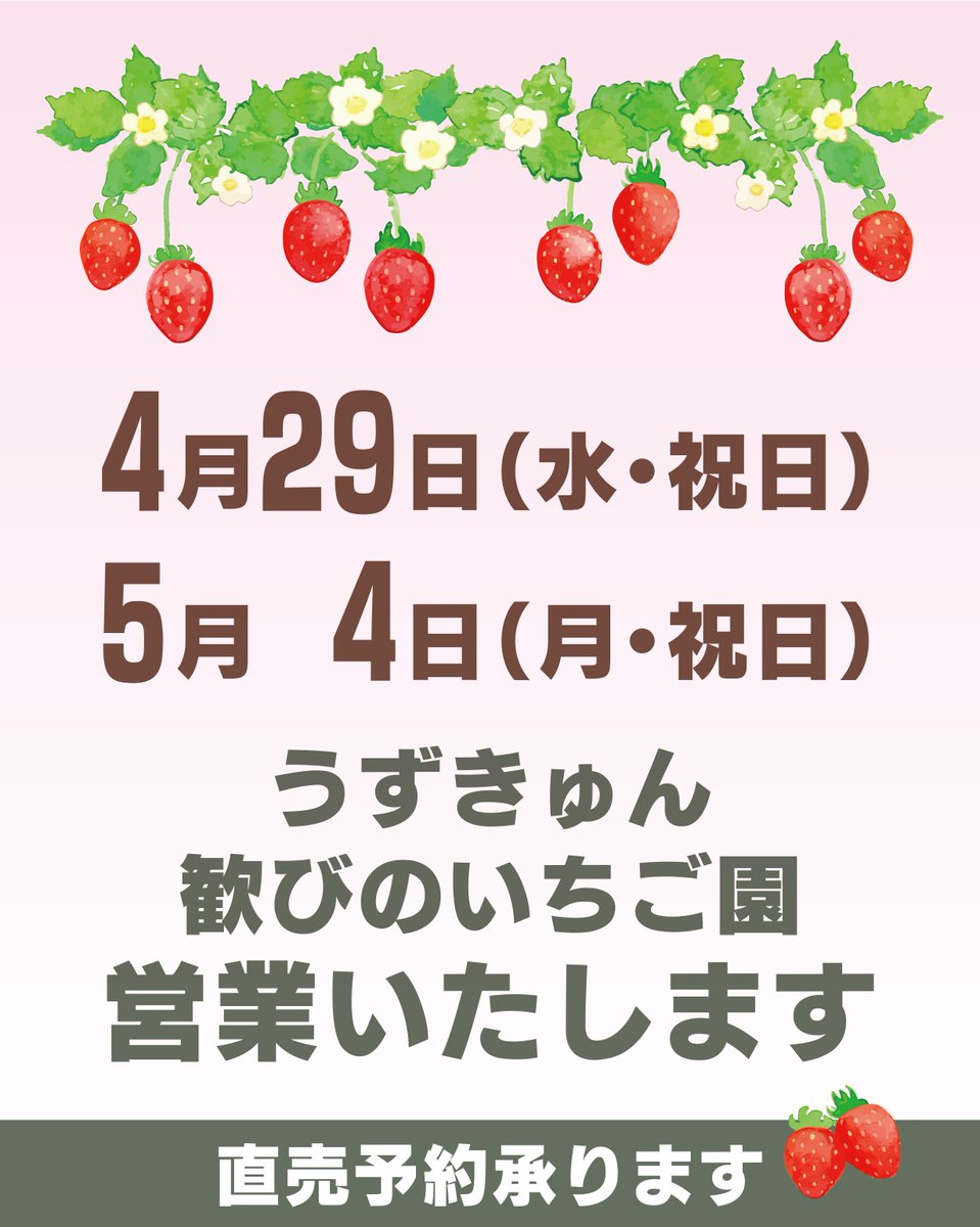 hanakamekun's tweet photo. いよいよゴールデンウィークですね！
当園は以下の祝日も営業いたします。

📅 GW期間中の営業日
・4月29日(水・祝)
・5月4日(月・祝) みどりの日

💡予約承ります！
確実にいちごをゲットしたい方は、事前の電話予約がおすすめです

📞ご予約電話番号　080-2924-1706 https://t.co/BCWiqUOm2F