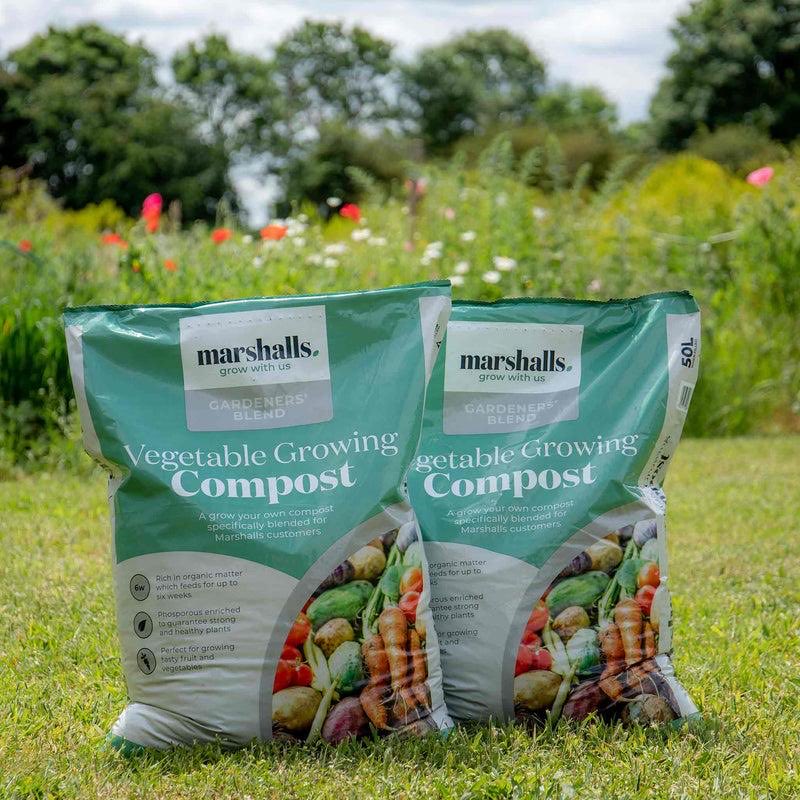allotmentonline's tweet image. NEW COMPETITION!

Enter for the chance to WIN 1 of 3 Spring Vegetable Growing Bundles from @MarshallsSeeds !

Please follow, RT,tag/share and enter on the link:

allotmentonline.co.uk/win-1-of-3-spr…

#win #competition #growyourown