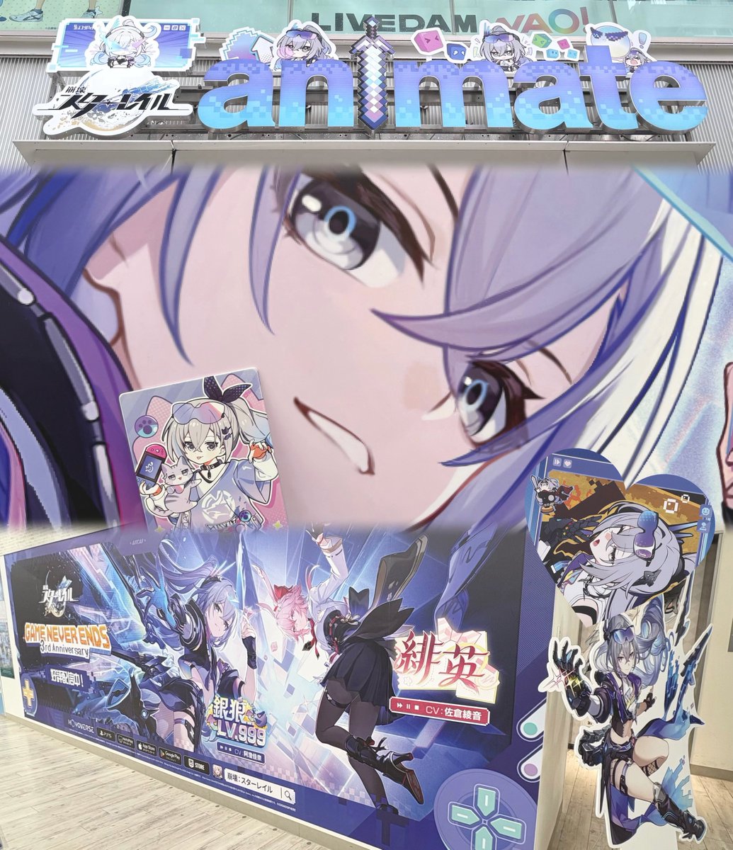 🐈🐾 tweet media