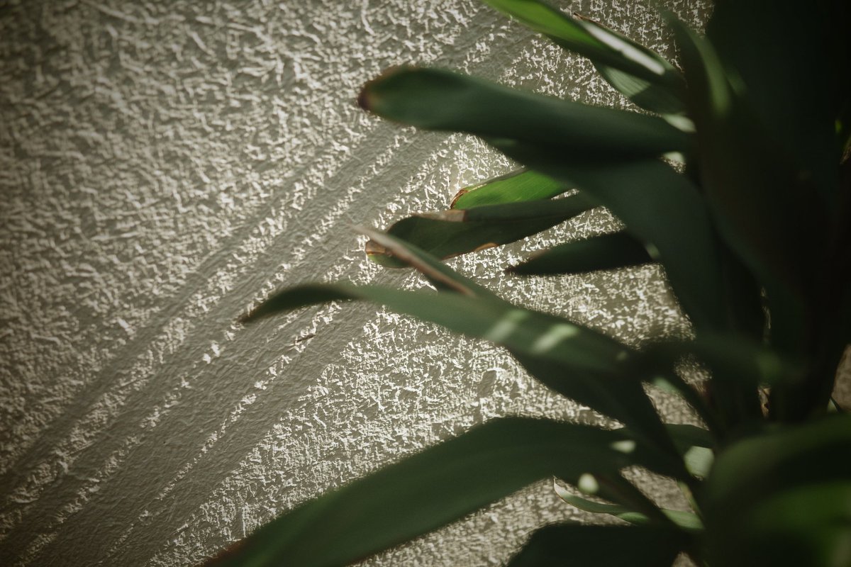 JESSA_n_'s tweet photo. except thursdays #931
4/28

#snapshot #photography #ricohgr3x #exceptthursdays

4/19 - 5/3（月曜日はお休み）まで、グループ展に参加中です（在廊日未定）
僕は旅写真で参加。他の展示がとてもいい感じなんで京都は清水寺来ましたらぜひ！

会場はこちらのお店の2階です
https://t.co/OtkPp9l0Xx https://t.co/pwGfijD714
