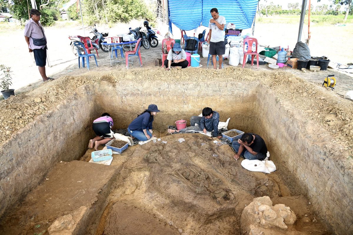 จจ ◡̈ ☁︎ *. 🌻🐈‍⬛ tweet media