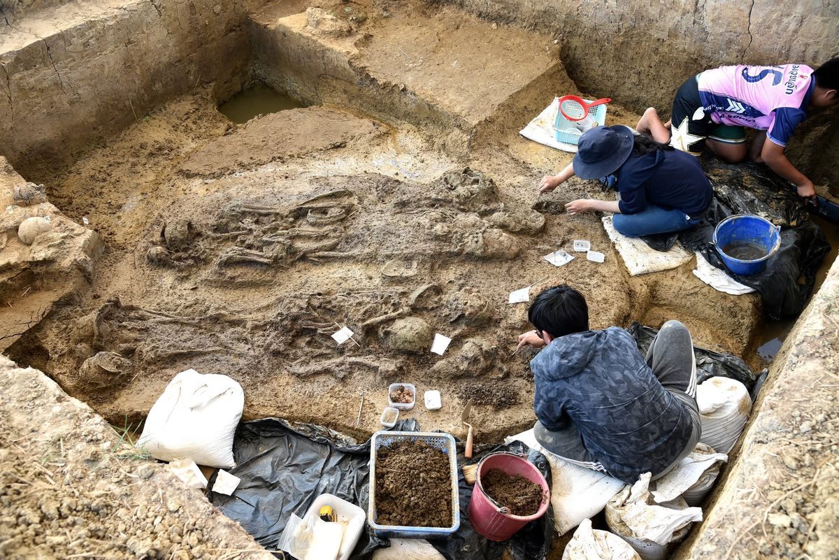 จจ ◡̈ ☁︎ *. 🌻🐈‍⬛ tweet media