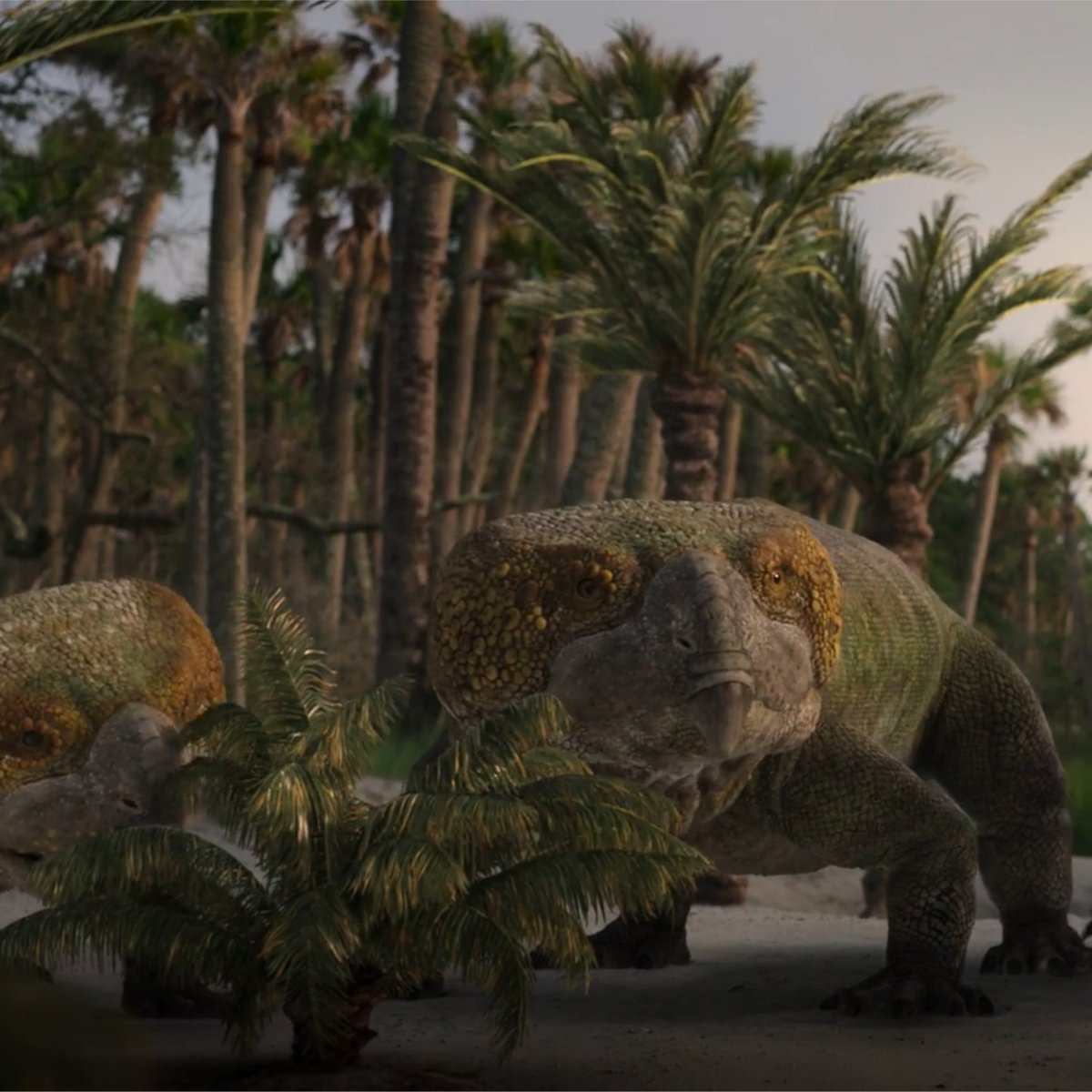 PalPSSA's tweet photo. Spotted in The Dinosaurs? 👀
Meet Rhynchosaurus, a beaked herbivorous reptile that thrived during the Triassic.
#Palaeontology #SouthAfricanScience #KarooBasin #Rhynchosaurus #TheDinosaurs https://t.co/SILXXEVSdO