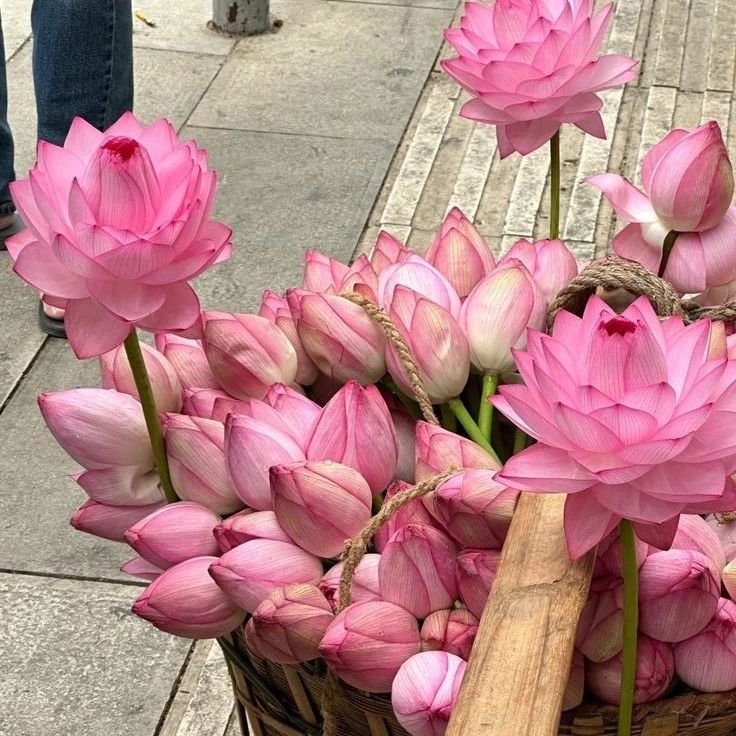 nath 🧠 tweet media